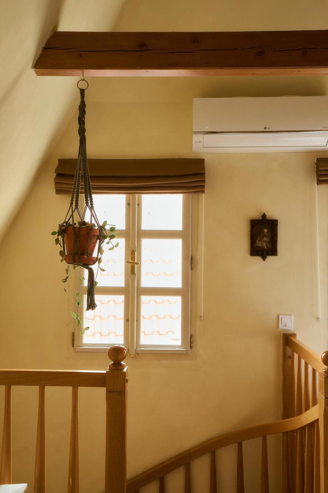 Appartement Nelis I Boutique In Old Town